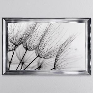 Dandelion Seed 1 Picture 114 x 74
