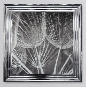 Dandelion Seed 2 Picture 68 x 68