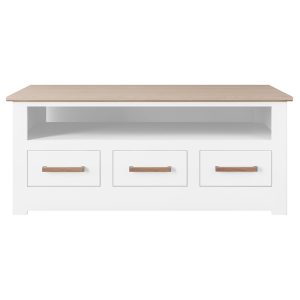 Modo 4 ft x 2 ft Open Shelf Coffee Table Chest