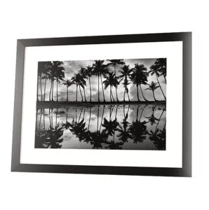 Dennis Frates (Palm Reflection) Picture 60 x 80