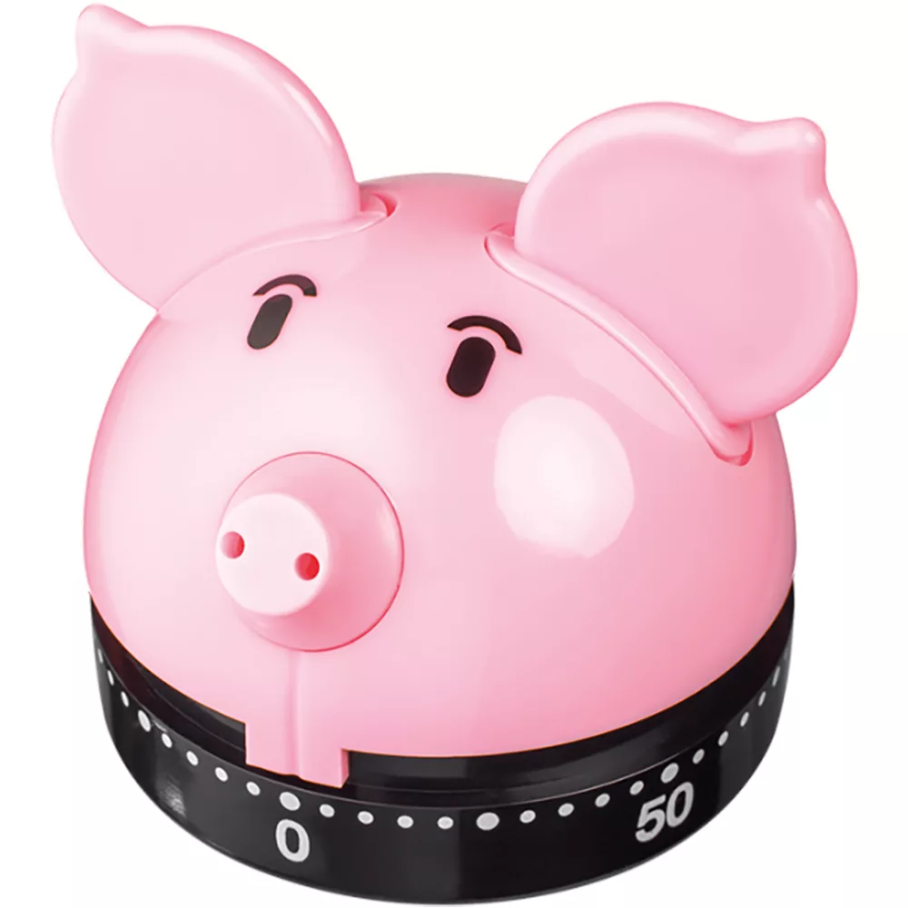 Judge Analogue Timer Piggy